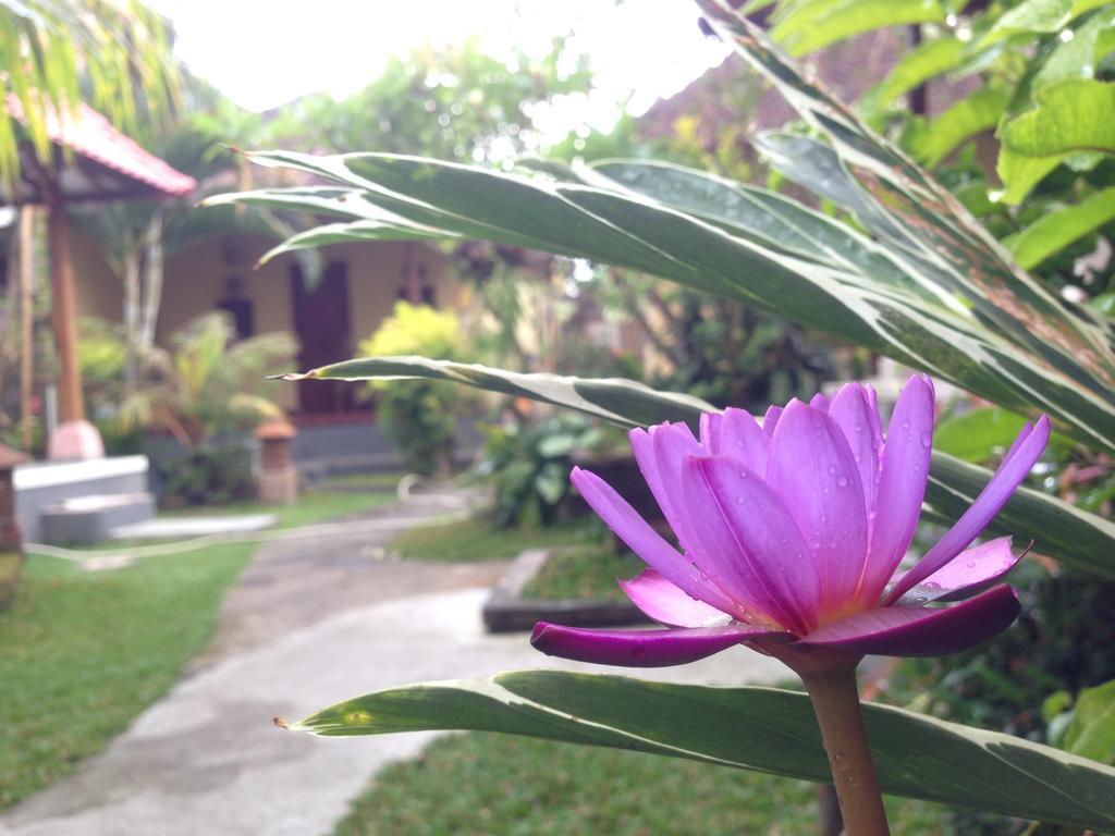Dimuwa Ubud Cameră foto